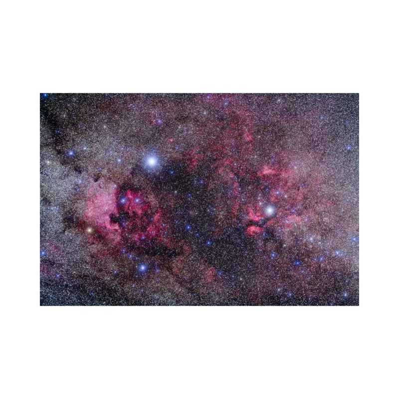 Nebulosity In Cygnus by Alan Dyer - Wrapped Canvas Print, 101.6 cm H x 66.04 cm W x 3.175 cm D