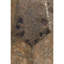 Ardisj Pot Planter-1379954263