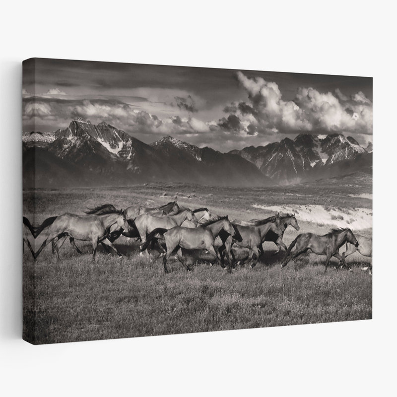 Chaîne de montagnes, Mavericks - photographie, animaux, nuages, chevaux, art, H 36 po x l 24 po