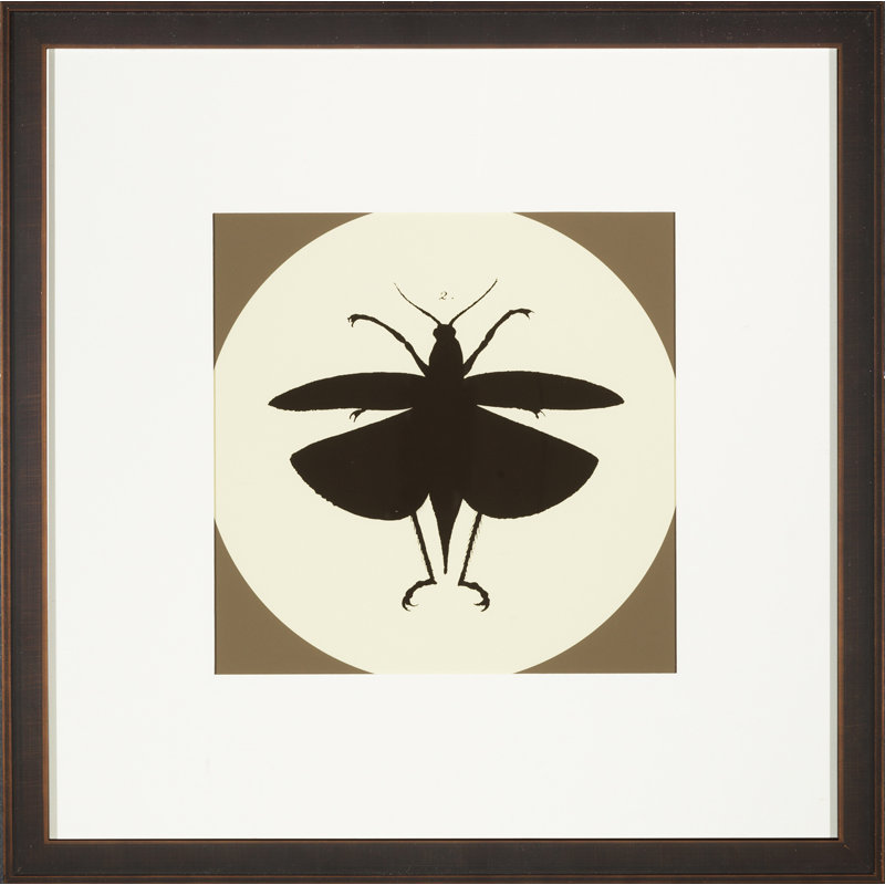 Insect Silhouette IV Print
