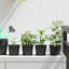 Nursery Pot