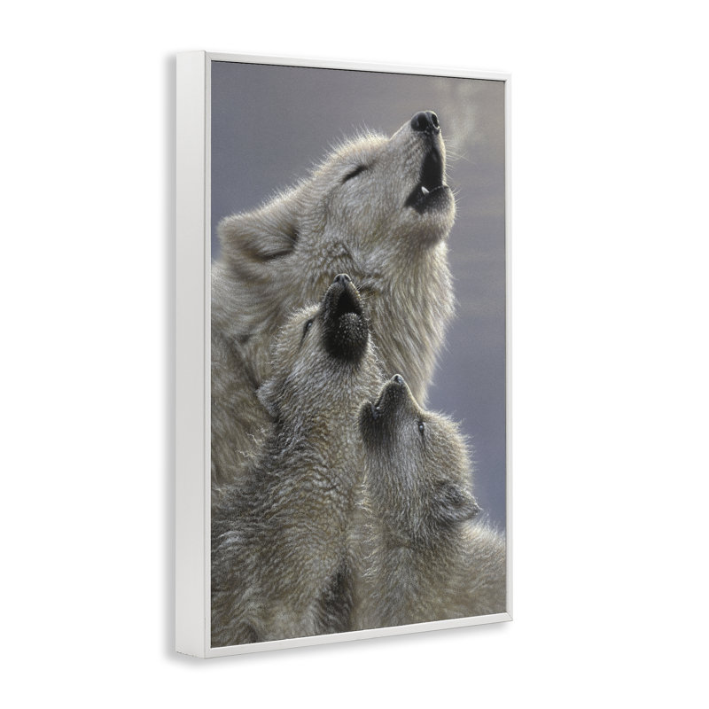 Singing Lessons White Wolves, giclée encadrée, conception par Collin Bogle, H 18 po x l 12 po