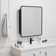 Surface-mounted/Recessed Mirror Cabinet with Mirror with Adjustable Shelf