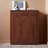 Modern simple storage shoe cabinet