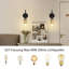 Ambellina Iron Armed Sconce
