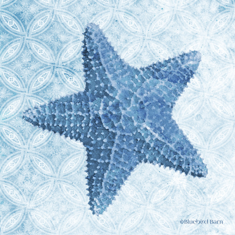 Étoile de mer par Bluebird Barn - impression, H 12 po x l 12 po, Toile tendue