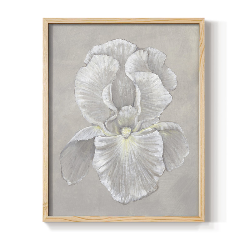 White Iris II, reproduction encadrée - bois massif