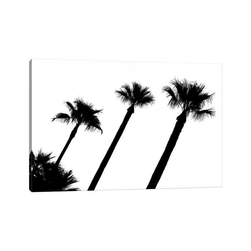 Black California Series - Three Palm Trees - Wrapped Canvas Print, 66.04 cm H x 45.72 cm W x 1.91 cm D
