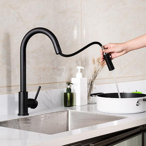 Artos Trova Pull Down Kitchen Faucet, Black
