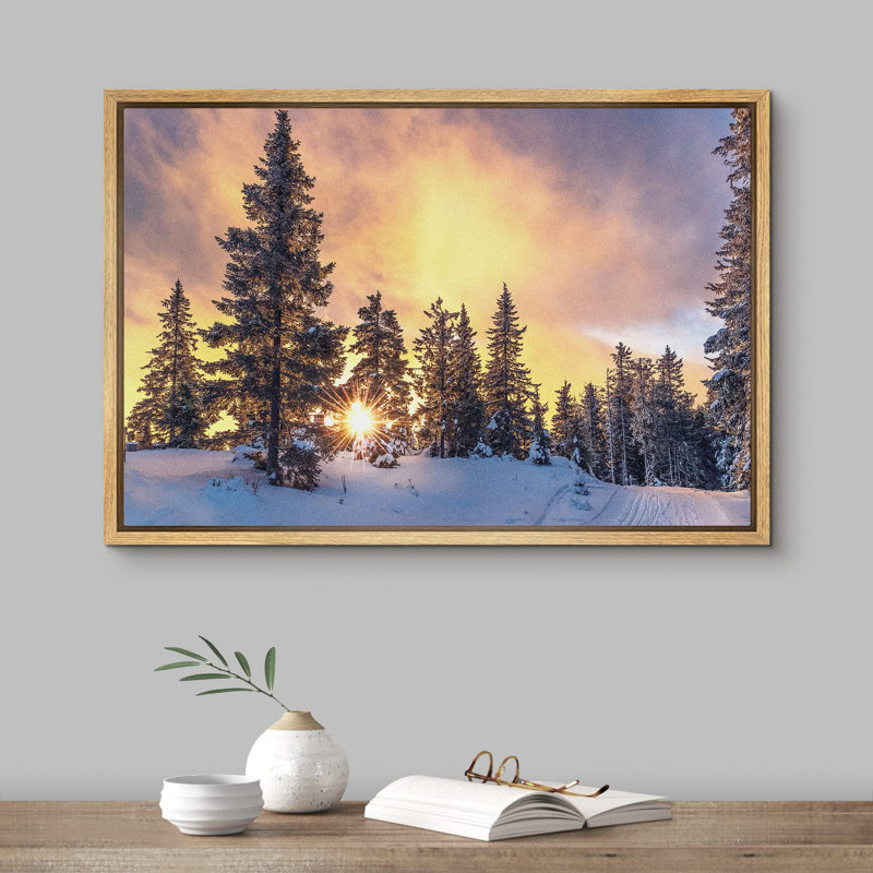 Coucher de soleil, hiver, pin, neige, forêt, nature, photographie, paysage sauvage, paysage, décor, Cadre flottant naturel