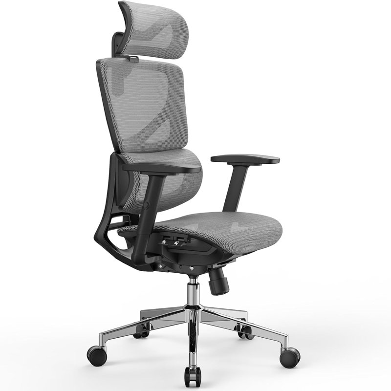 OdinLake L1 (Ergo UPGRADE 518) | Chaise de bureau ergonomique, Gris clair