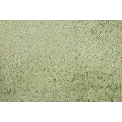 Tissu en velours Brocade Huntsville, 72 pouces en largeur, matériau gaufré pour le revêtement, le drapé, etc.