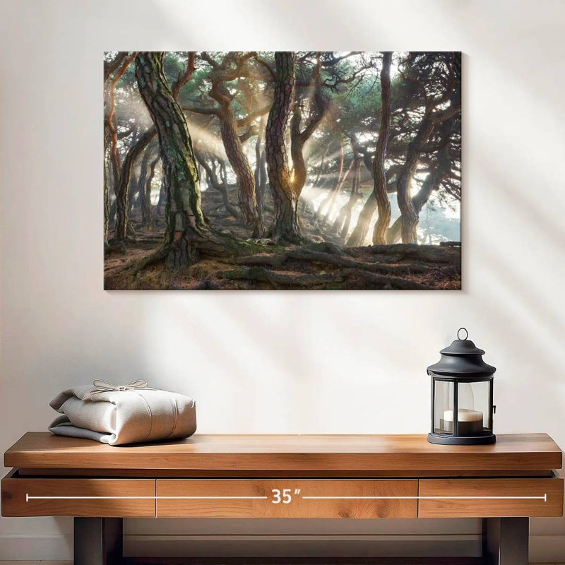 Harnek Redwood Forest, H 16 po x l 24 po