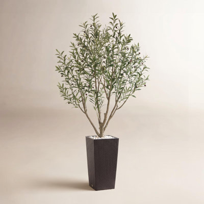 Arbre artificiel en bois d'olivier artificiel Adcock Faux olivier avec branches réglables sans entretien