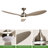 Armillda 56'' Ceiling Fan with LED Lights