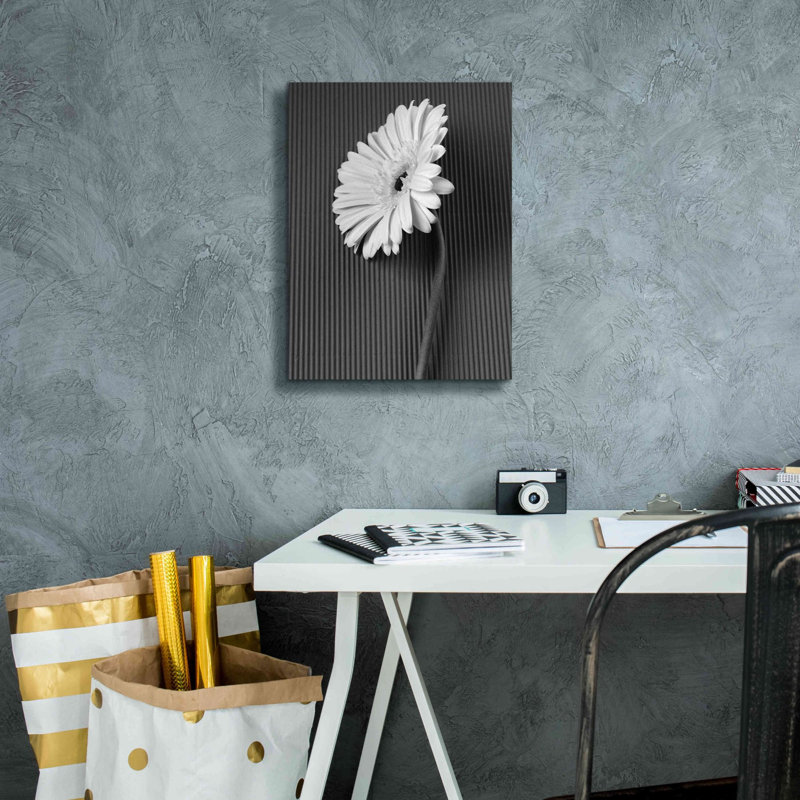 «Fresh Cut Daisy II» par Debra Van Swearingen, art mural sur toile, H 16 po x l 12 po x P 0,75 po