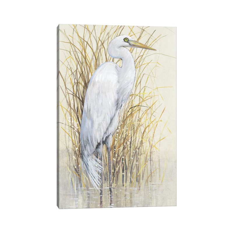 Wading I by Tim OToole - Wrapped Canvas Painting, 30.48 cm H x 45.72 cm W