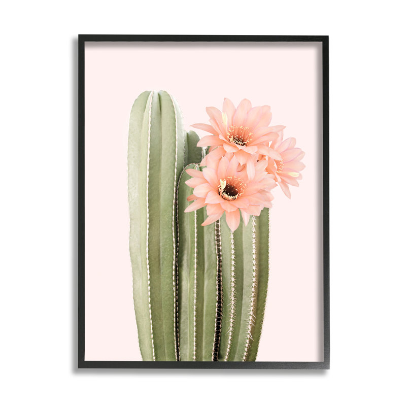 "Stupell Industries", art floral sur toile de cactus rose par Sissi et Seb, H 30 po x l 24 po x P 1,5 po