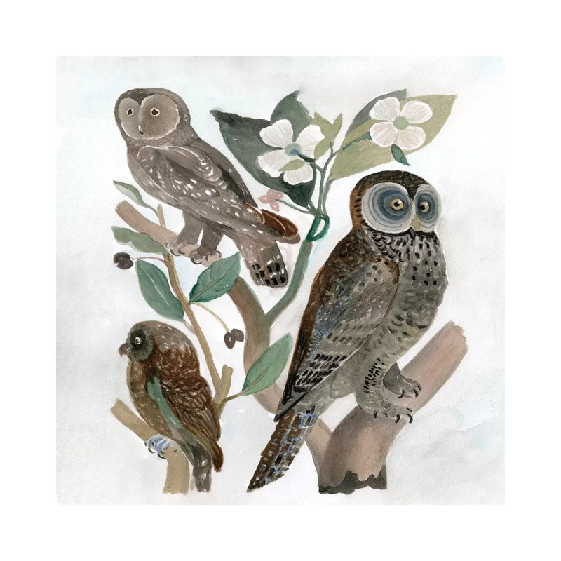 Traditional Owls II by Stellar Design Studio - Wrapped Canvas Gallery-Wrapped Canvas Giclée, 93.98 cm H x 93.98 cm W