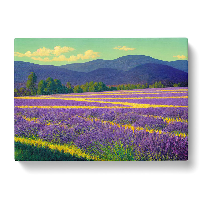 Excellent Lavender Flower Field - Wrapped Canvas Print, 40cm H x 60cm W x 3cm D
