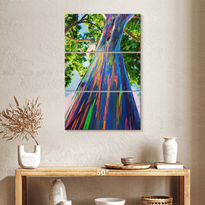 Eucalyptus hawaïen Harnek