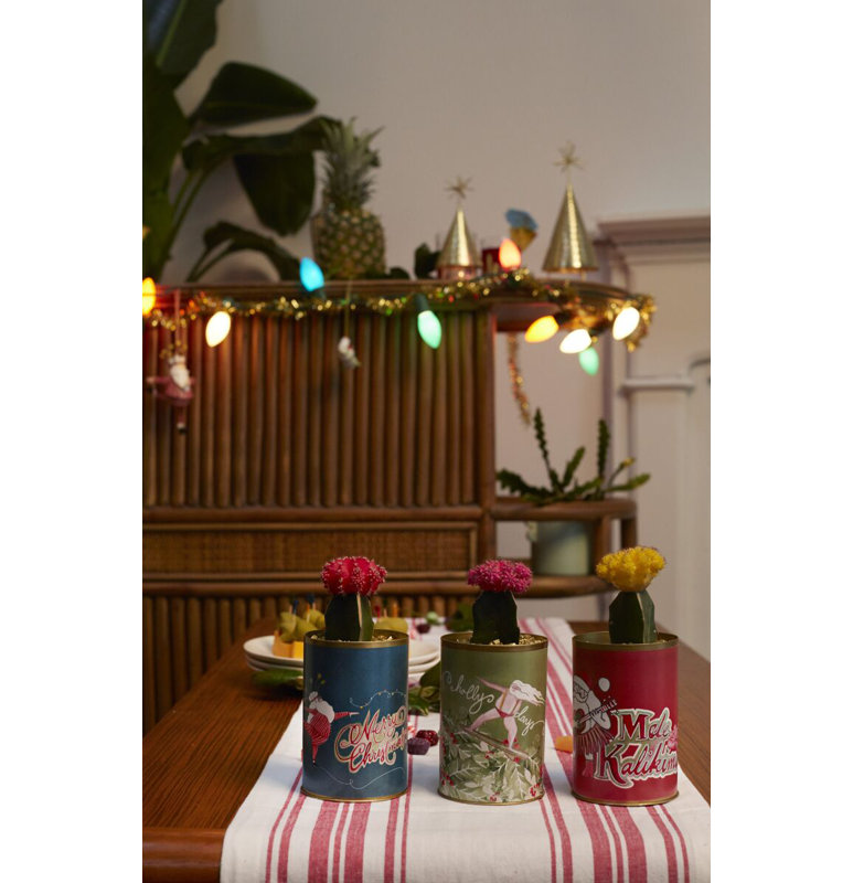 Boîte de passe-temps pour père Noël 3,25 po x 4,5 po