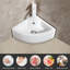 Belfry Bathroom Matsuda 44mm L x 34mm W Ceramic Specialty Sink with Overflow