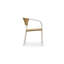 Chaise de salle à manger d'extérieur Zola Natural - ensemble de deux-1674028781-1674028778