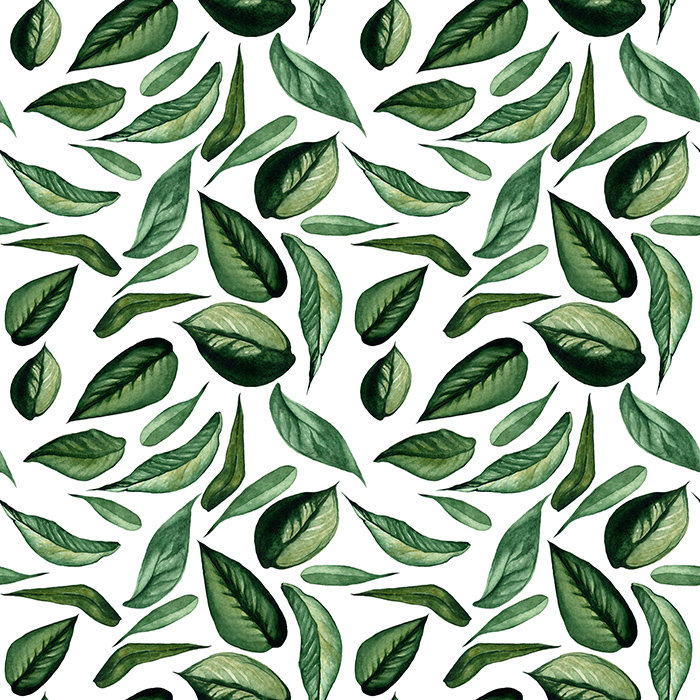 Briaroaks Matte Mural, 250cm H x 250cm W