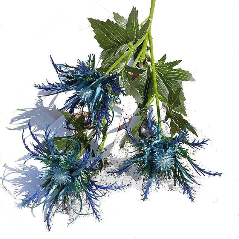 Eryngium Arrangement, Dark Red