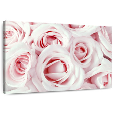 Harnek Valentine Roses