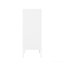 Armoire décorative blanche-347459410