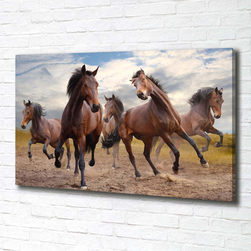 Five Horses - Wrapped Canvas Print