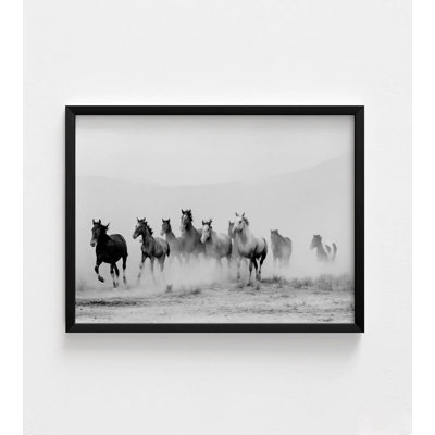 Wild Running Horses, Black & White