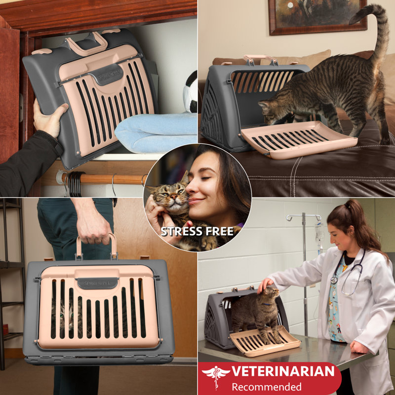 Plastic Collapsible Pet Carrier with 1 Door, Gray/Beige