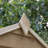 Overlap Pressure Treated 5 x 7 Apex Shed No Window with Lean to-87255538