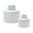 2 Piece Rawley White Porcelain Table Vase Set