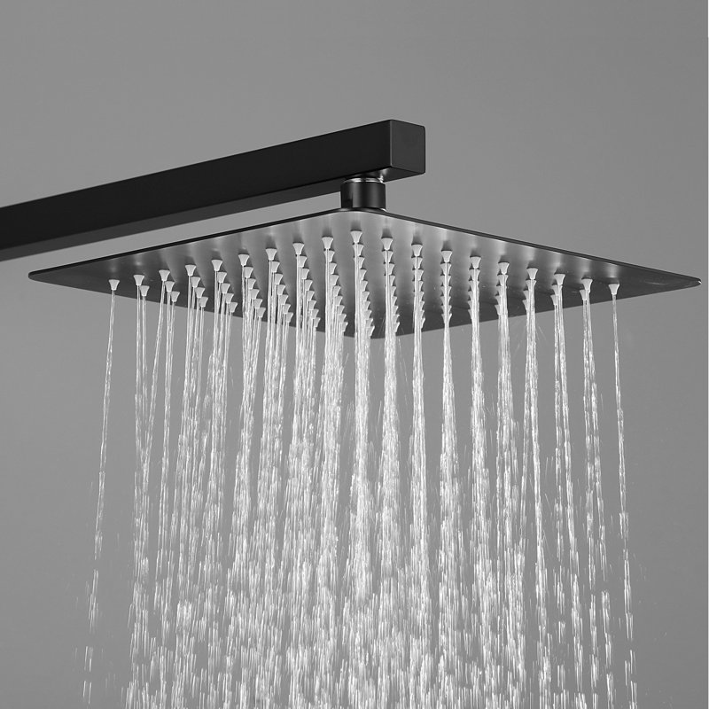 Pomme de douche à pluie réglable, Noir mat