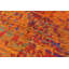 Tapis orange en soie noué à la main de conception unique 5 pi 7 po x 7 pi 8 po Gaberiel