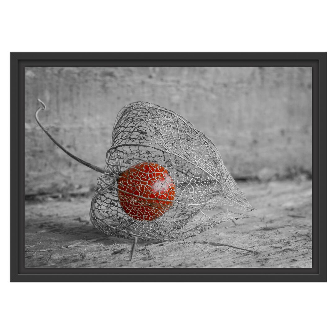 Gerahmtes Wandbild leckere Physalis in Schale