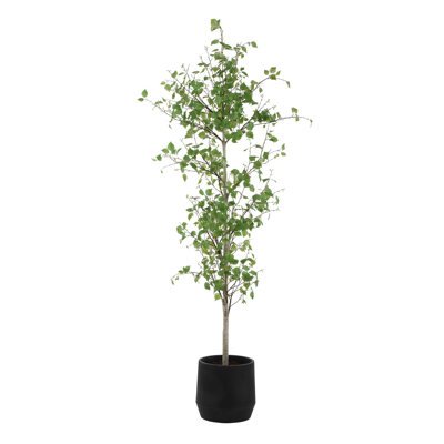Bouleau Uttermost Boreal