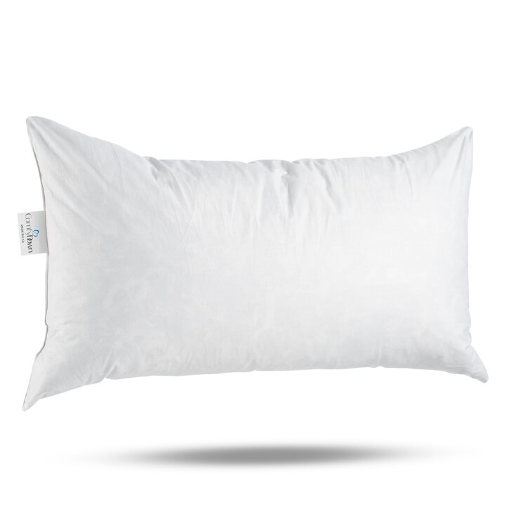 ComfyDown 95% Feather 5% Down Rectangle Decorative Pillow Insert Sham Stuffer