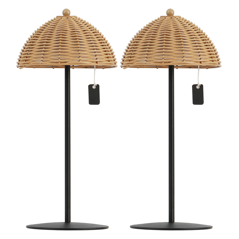 Lampe de table à DEL intégrée et d'extérieur à intensité variable de 12,75 po Tilly