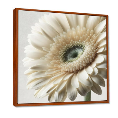 Gerbera blanche III - art mural Gerbera