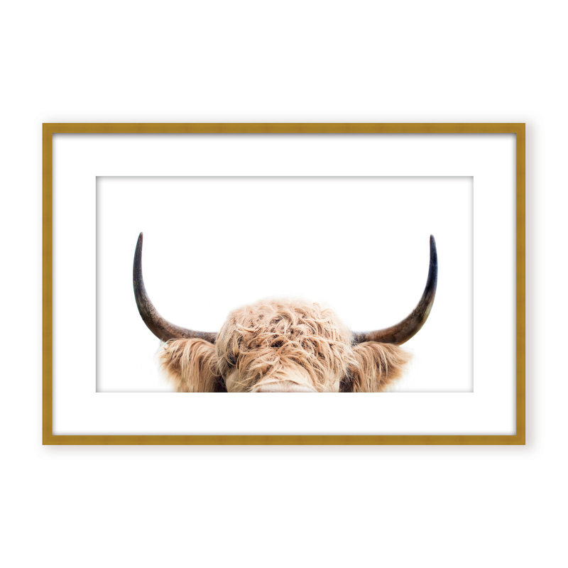 Nature Inspired Peeking Cow by  - Picture Frame Photograph on Paper, 16" H x 24" W x 1.125" D, Framed Print, Gold