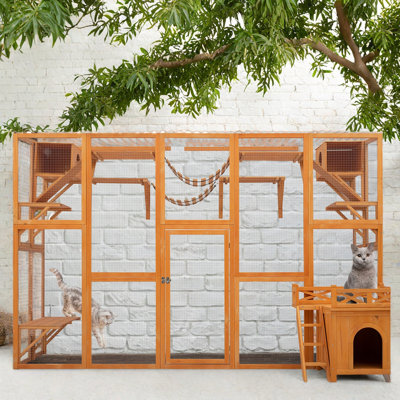 Outdoor Cat House With Box Outside Enclosure And More Space