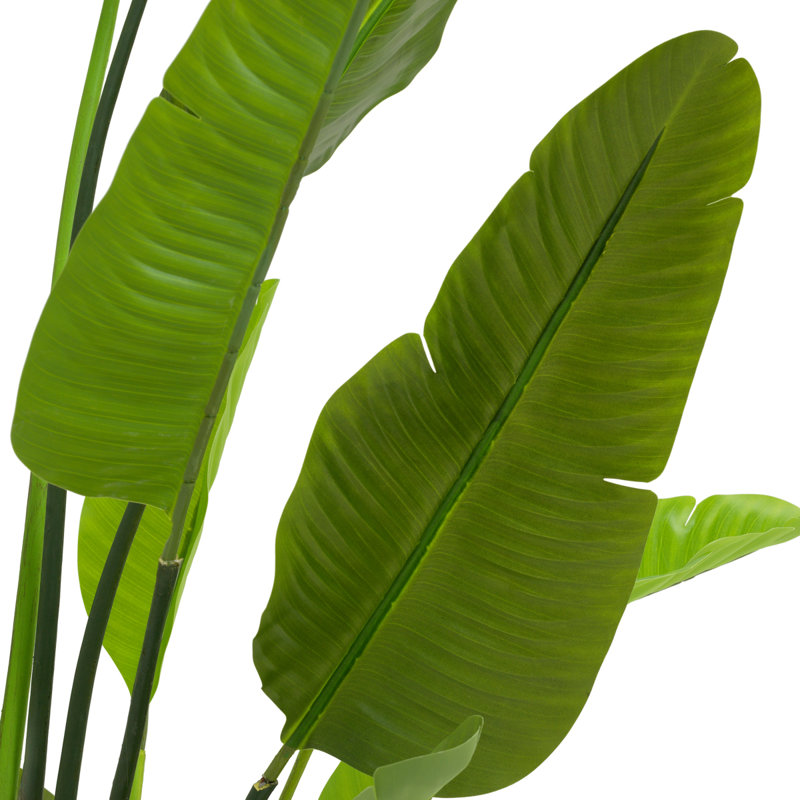 Artificial Plant Strelitzia Green, 70.87" x 39.37"