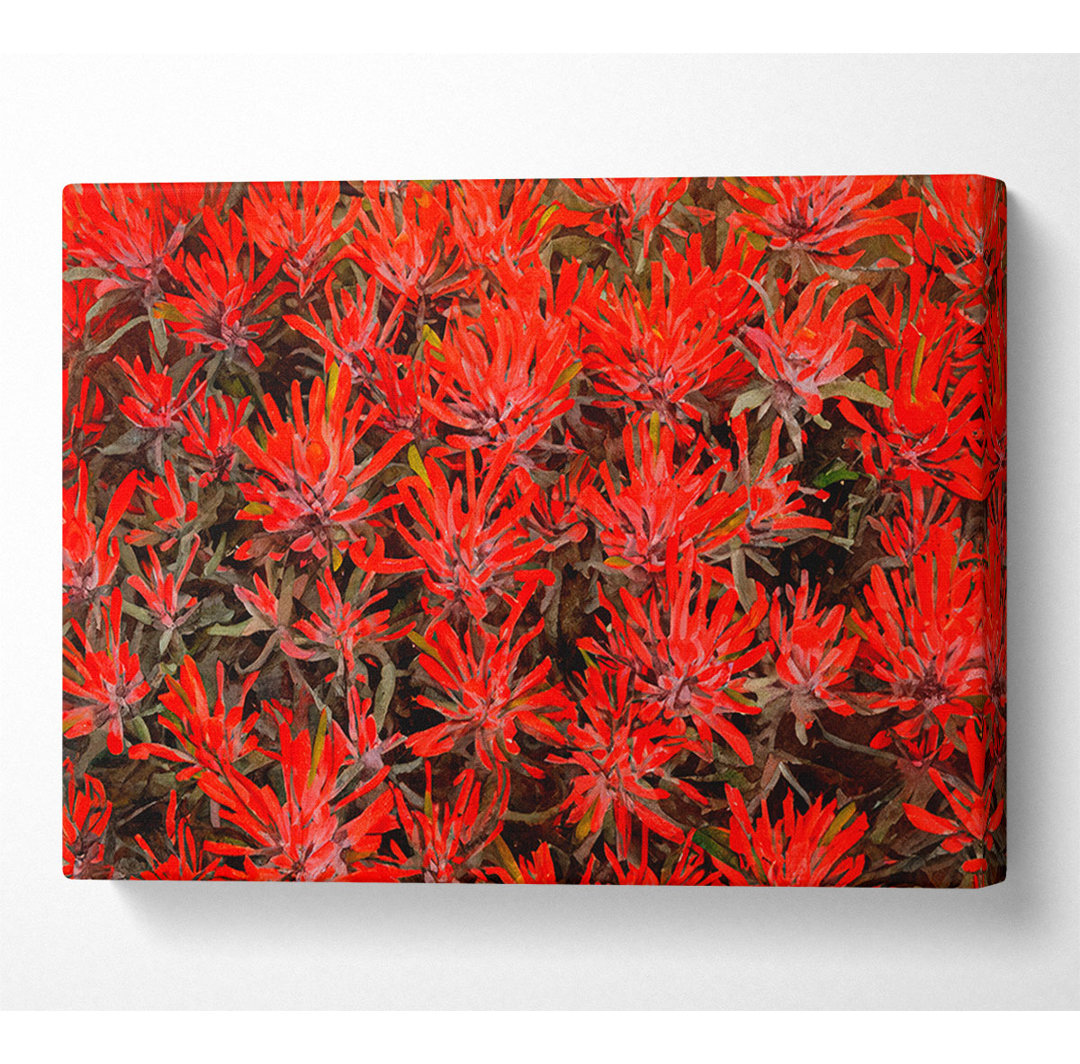 Red Paintbrush Utah - Kunstdrucke auf Leinwand - Wrapped Canvas