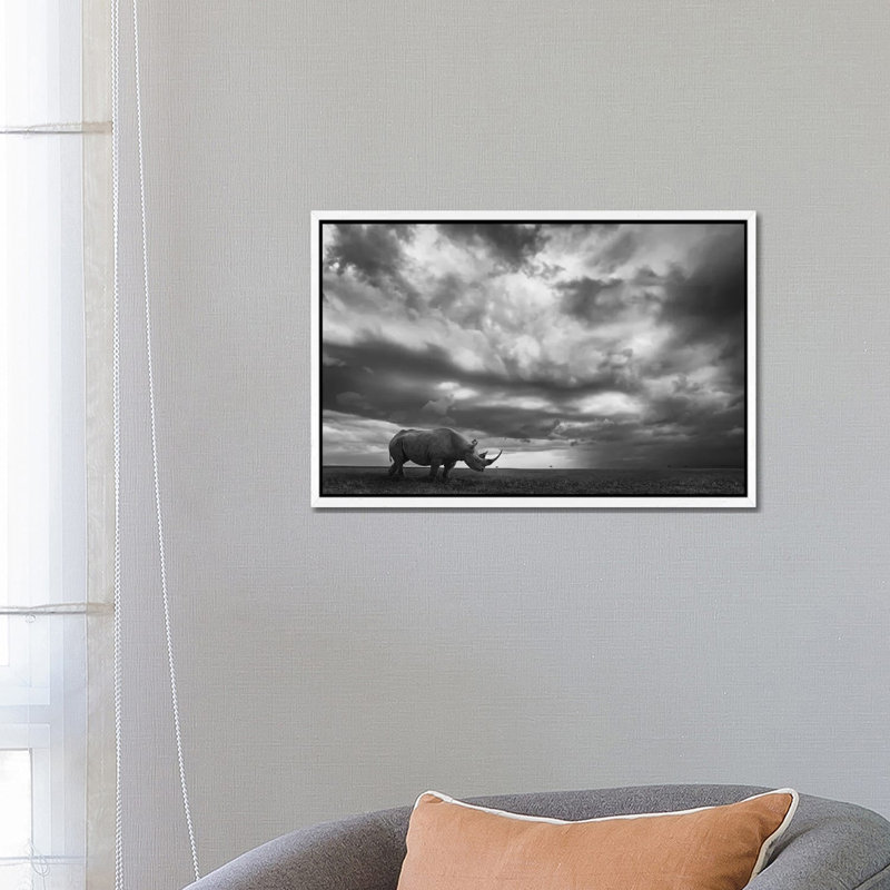 Rhino Land by Mario Moreno - Print on Canvas, White Floater Framed, 45.72cm H x 66.04cm W x 3.81cm D
