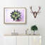 A Green Succulent Plant - Single Picture Frame Painting on MDF-56627952-56627953